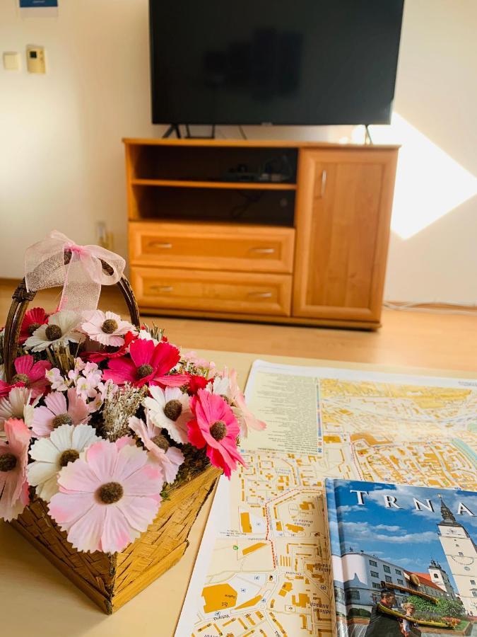 Apartment Biely Kostol エクステリア 写真